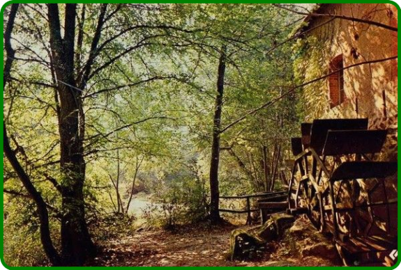 ╰⊱♥⊱╮ღ꧁ Département  23 ꧂ღ╭⊱♥≺