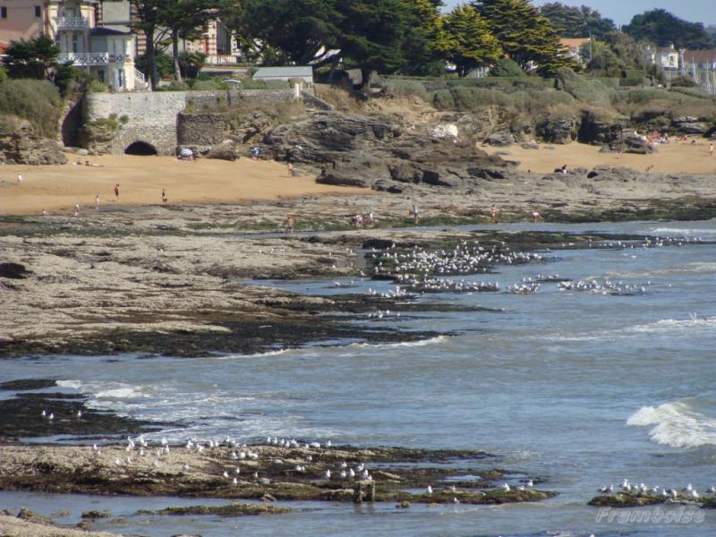 Plage de Montbeau à Pornic