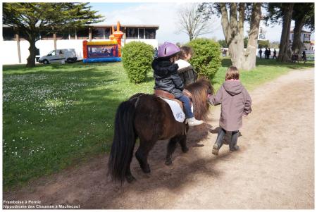 Courses  hippiques à Machecoul Mars 2014