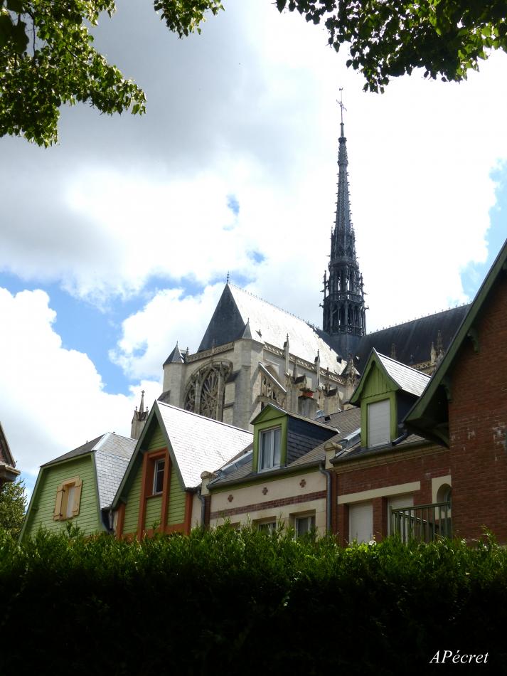 Des petits coucous de ma Dame