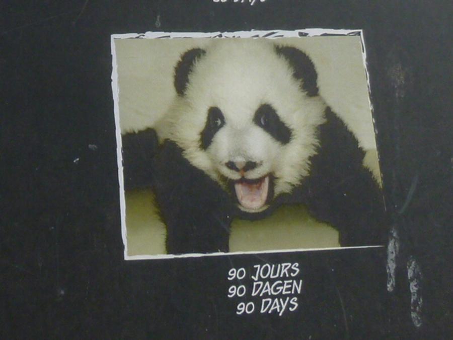 Tian Bao