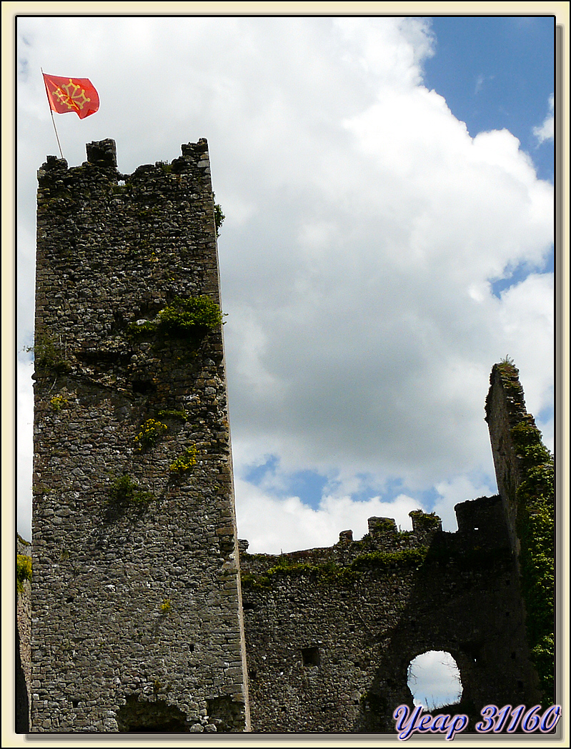  Les ruines du château ont revécu le temps d'une fête médiévale - Montespan - 31