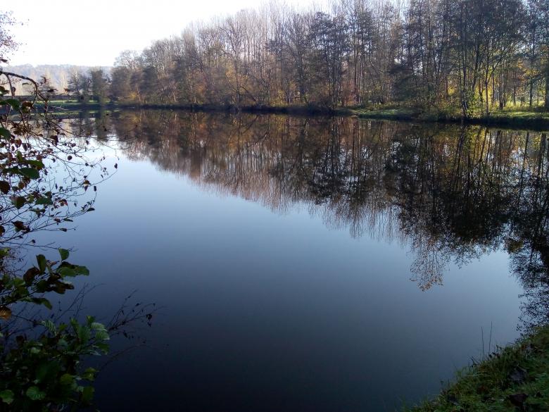 promenade au grand air ce dimanche