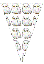 ¤ Les fanions de présentation