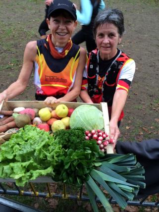 Trail du Haras d'Hennebont - Dimanche 13 décembre 2015