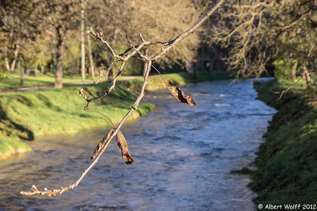 Le long de la rivière - 1