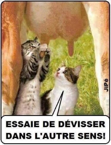 HUMOUR