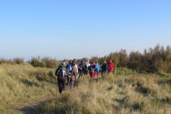 La randonnée du 18 novembre à Ver-sur-Mer