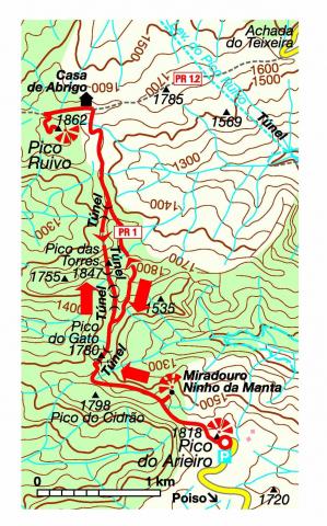 CARTE-PICO-ARIEIRO-RUIVO