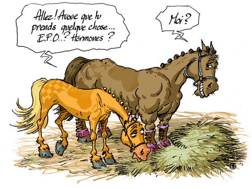 Maltraitance et dopage des chevaux...