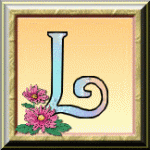 ღ꧁ღ╭⊱ꕥ  Divination ꕥ⊱╮ღ꧂ღ