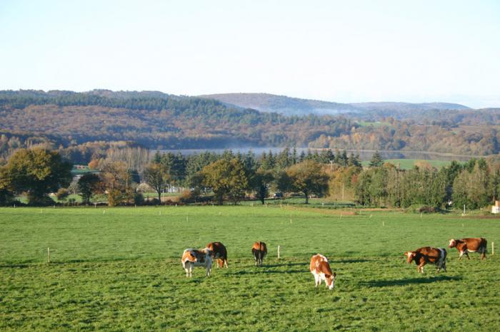 Département des côtes d'Armor