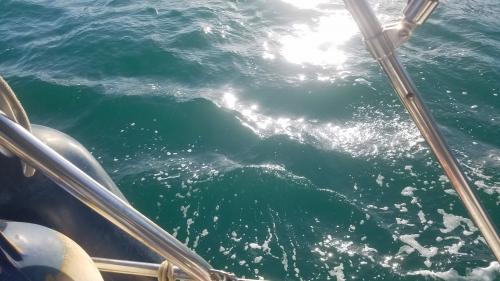 Le balcon posé sur la mer (4) entre Χαλκίδα et Κάραβος