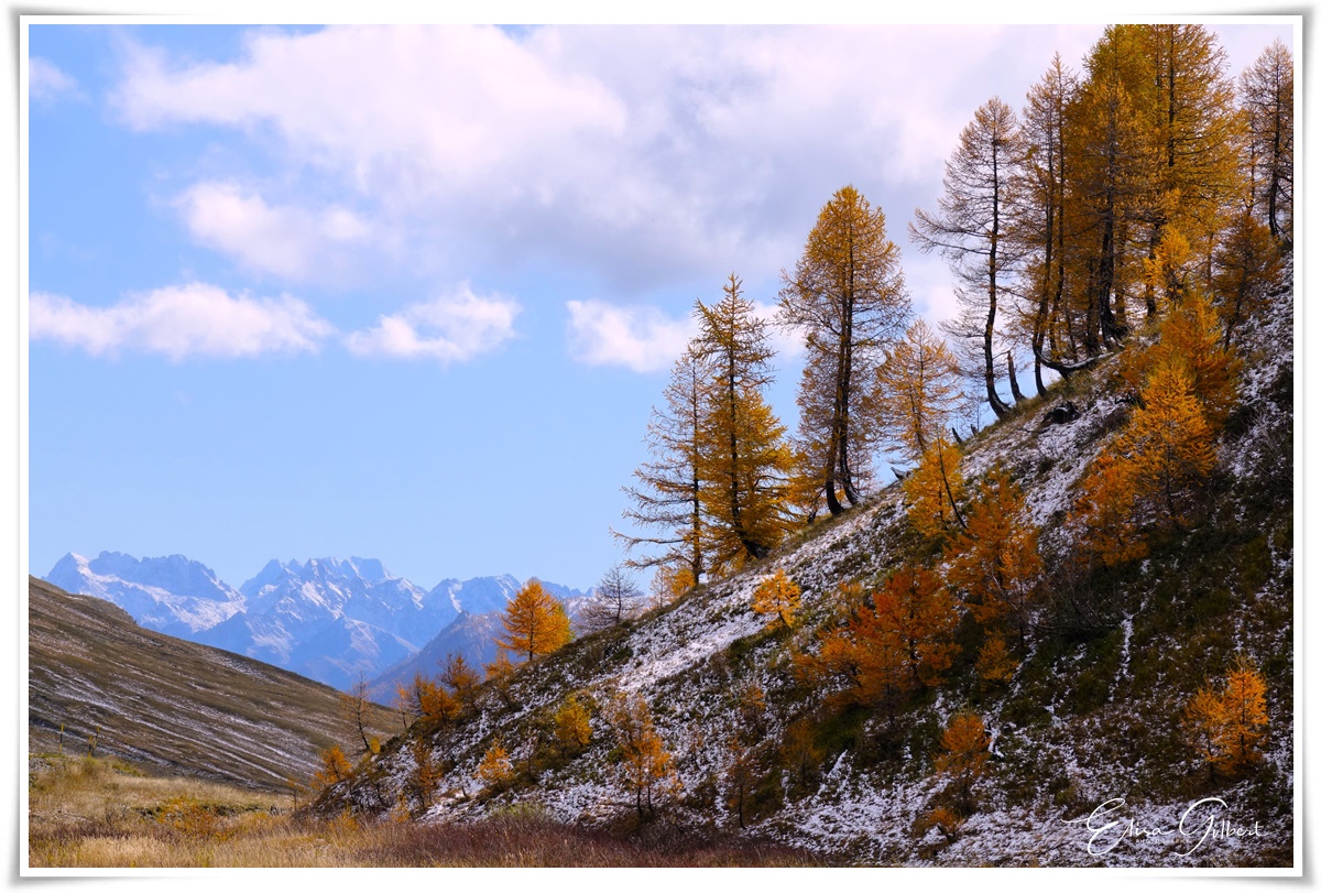 Ambiance hivernale