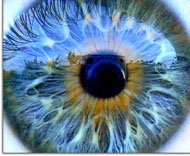 Oeil.jpg