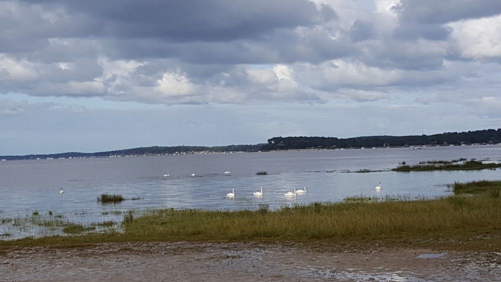 Petite balade dominicale...