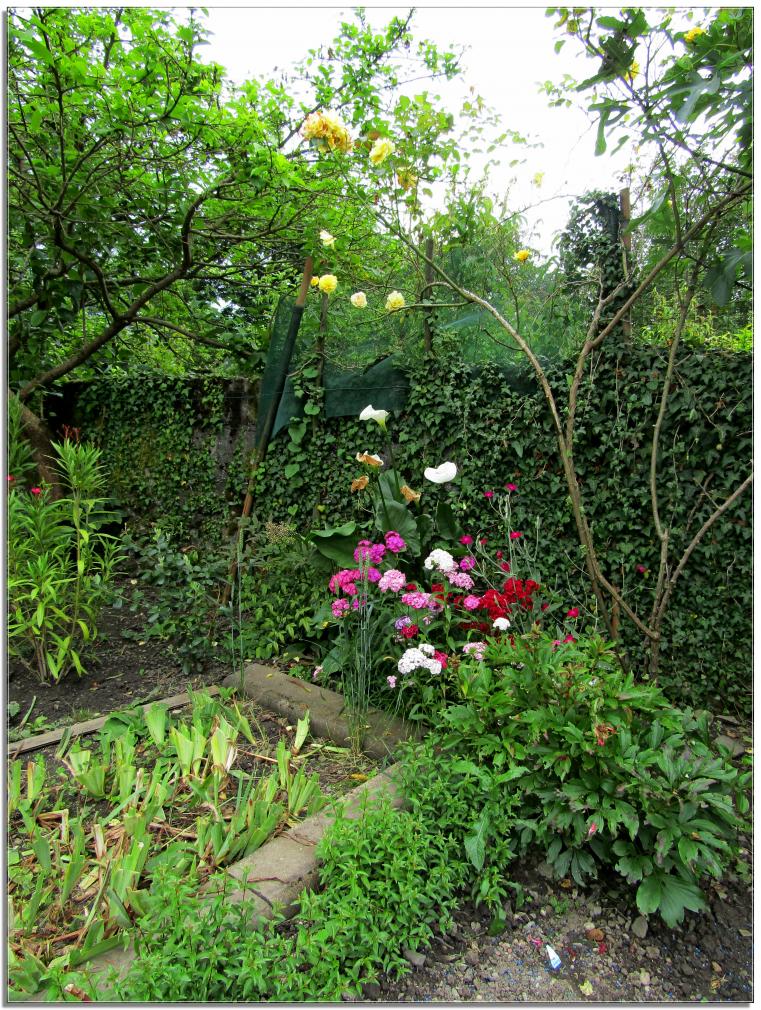 REVENONS AU JARDIN 
