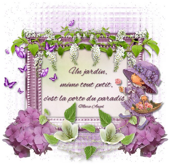 Un peu d'histoire "le jardin" ...