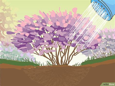 Comment lutter contre l'érosion des sols: 27 étapes