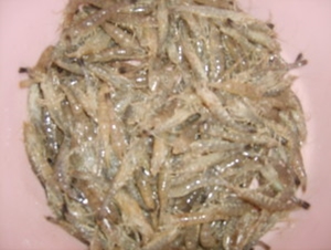 Coupe de la mer ...