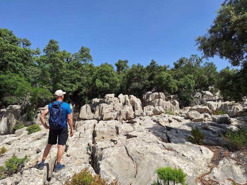 un tour dans l'ile magique 