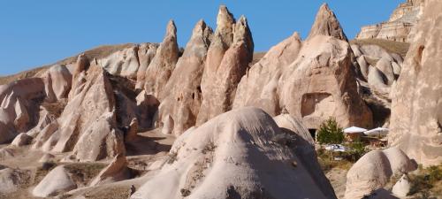 Allons cueillir la Rose !