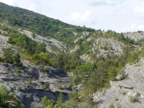 La ferme Belon (Préalpes de Digne)