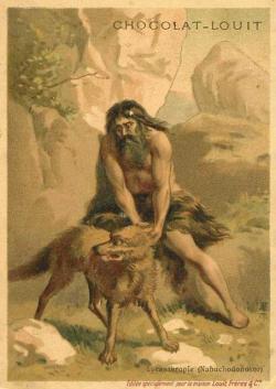 Loups de Sibérie (Canis lupus albus)
