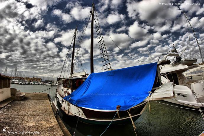 Port de Carnon
