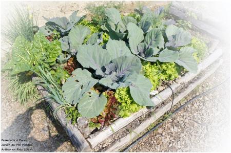 Les bons légumes du Pré Pichaud à Arthon en Retz 