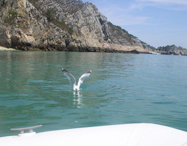 En Baie de Douarnenez entre L'île Vierge et Pentrez (i)