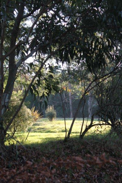 jardin à St Urbain 053