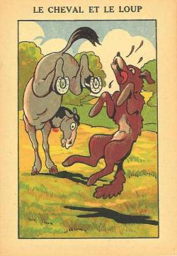 Loups de Sibérie (Canis lupus albus)