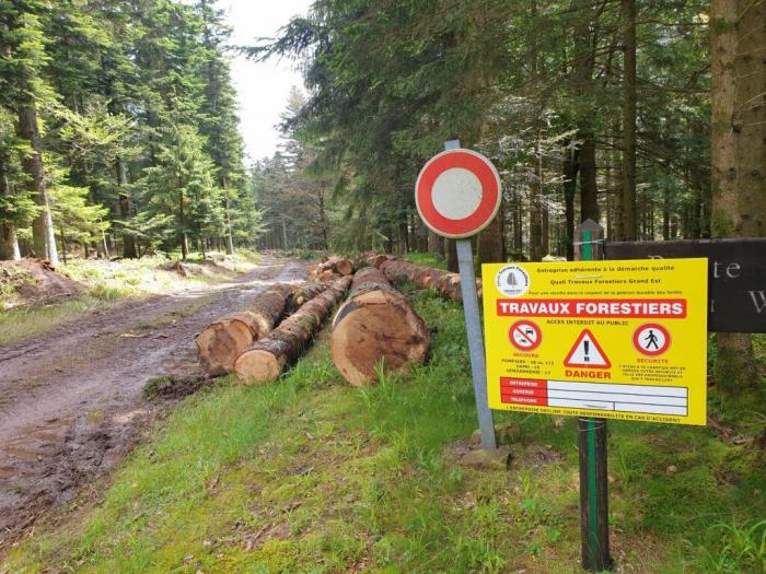 Département des Vosges