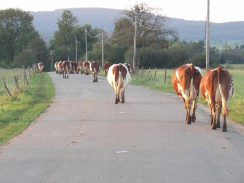 Visite de la maison natale de Rouget de Lisle, séjour camping-car