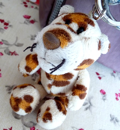 Une île des Hortillonnages