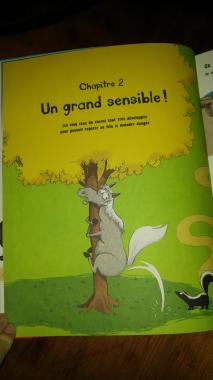 Tout sur le cheval... et le reste