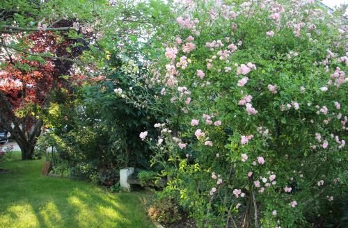Chambre d'ôtes "Haut-Jardin" à Vignoux-sous-les-Aix
