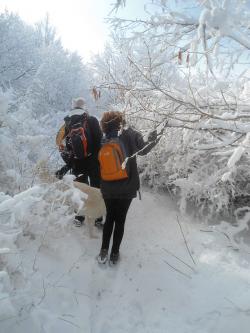 Neige tardive à Kopitoto