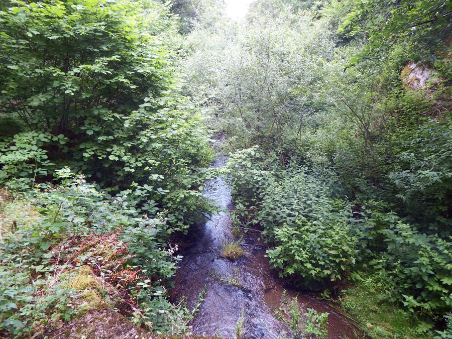 Montrézic et la cascade du saut du chien 