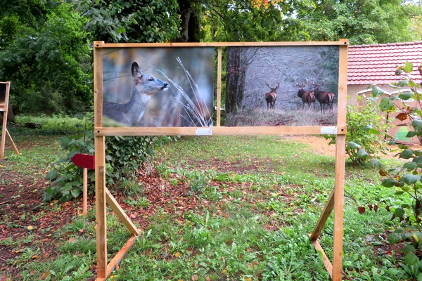 Une exposition de photographies aux Villas du Parc à Vanvey