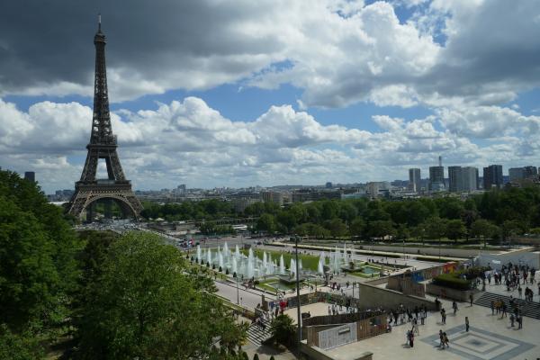Le coq de Notre Dame de Paris