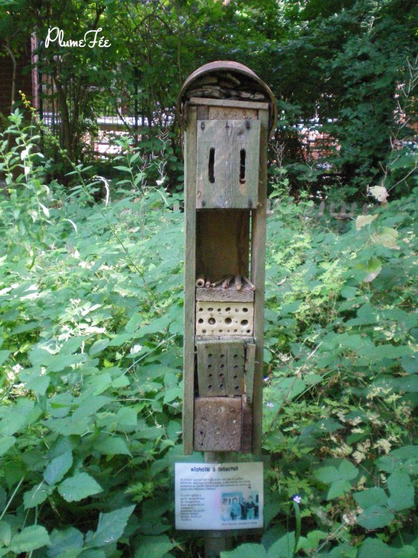 Image012.jpg
