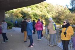 La balade du 23 novembre à la Colline aux Oiseaux
