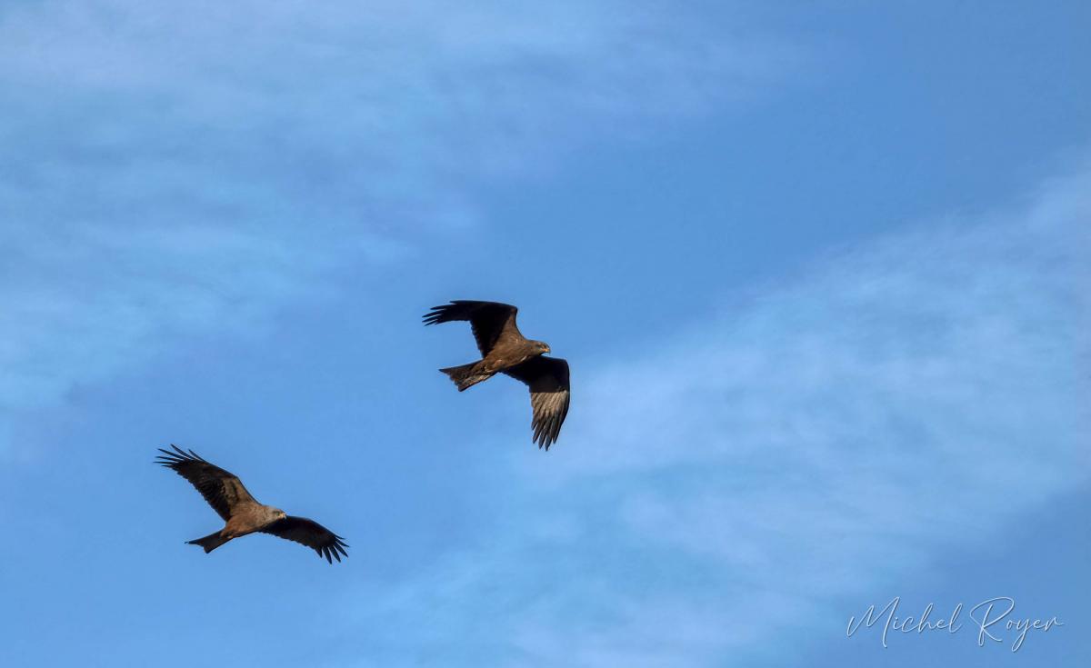 A L'Ecopôle du Val d'Allier dernièrement