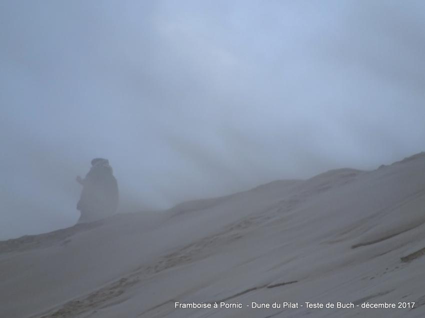 Dune de Pilat - Pyla/mer - Gironde - 2018