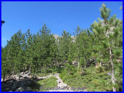 Corse 2015 - GR20 - Le cirque de la Solitude