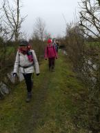 La randonnée du 23 janvier à Cabourg