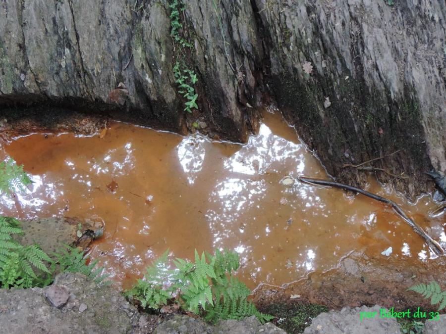 Broceliande - le val sans retour (35) - 2