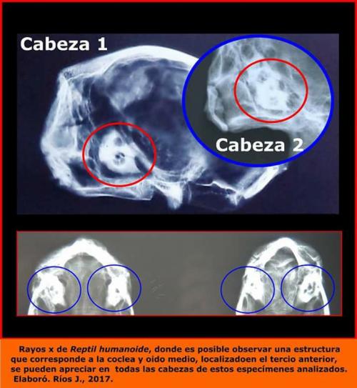 ALIEN PROJECT - Les momies du Pérou/5